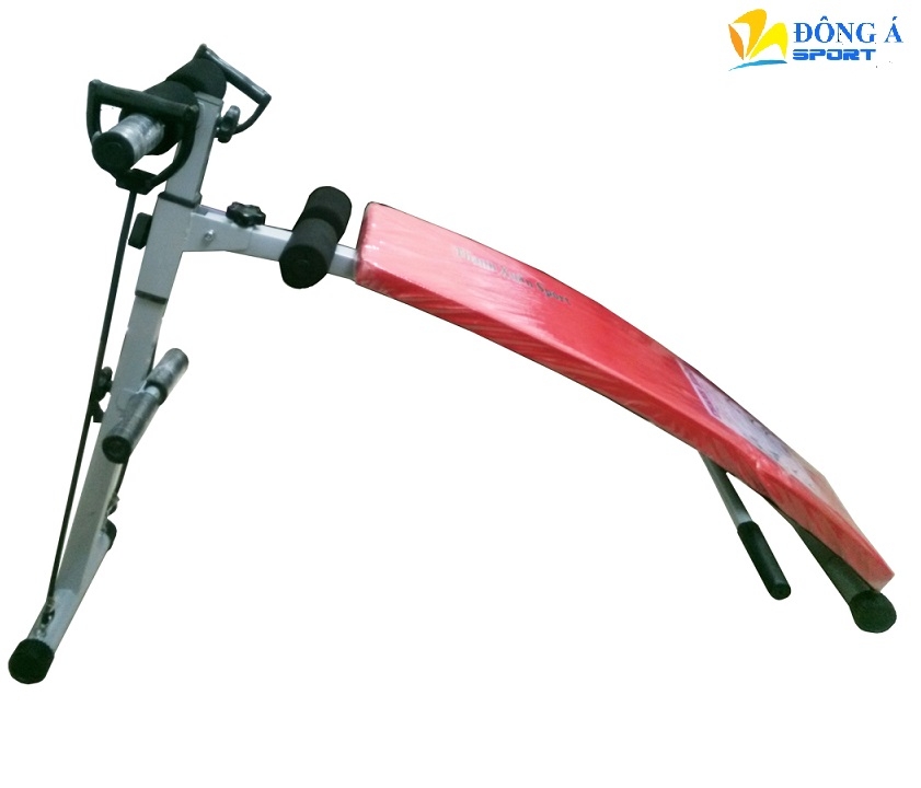 Ghế cong tập bụng Thanh Xuân 3 chức năng