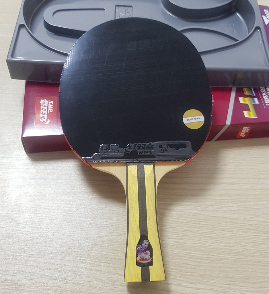 Vợt bóng bàn mút DHS 4002