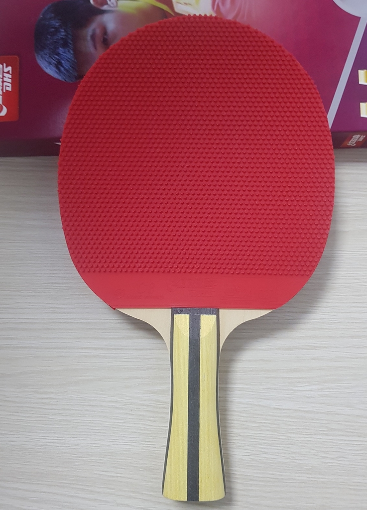 Vợt bóng bàn mút DHS 4003