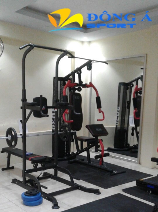 Ghế tập tạ đa năng T052