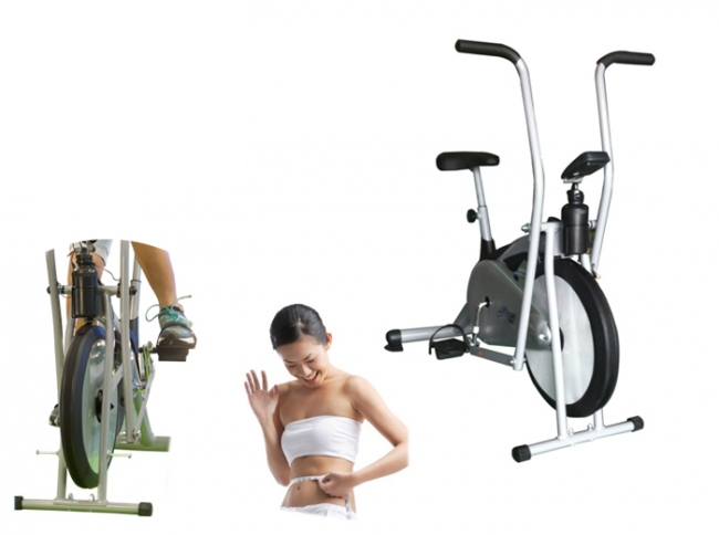 Xe đạp tập liên hoàn Life Span