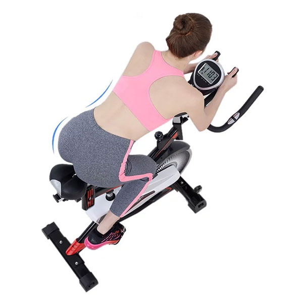 Xe đạp tập thể dục Fuji Luxury MK-100