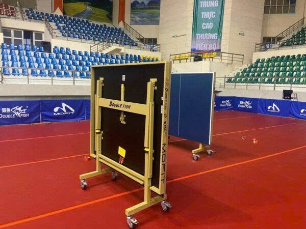 Bàn bóng bàn Double Fish 235 Gold