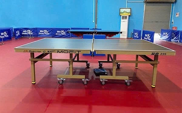 Bàn bóng bàn Double Fish 235 Gold