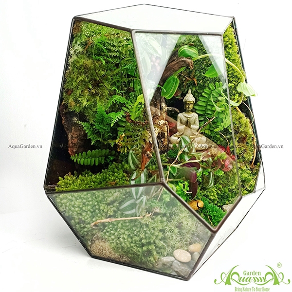 Natural Spirit | Terrarium Signature AquaGarden | Mẫu Terrarium Đẹp |  quatangcaycanh