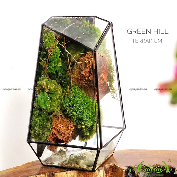 Soar bruger Sammenligne Green Hill | Terrarium Signature AquaGarden | Mẫu Terrarium Đẹp |  quatangcaycanh