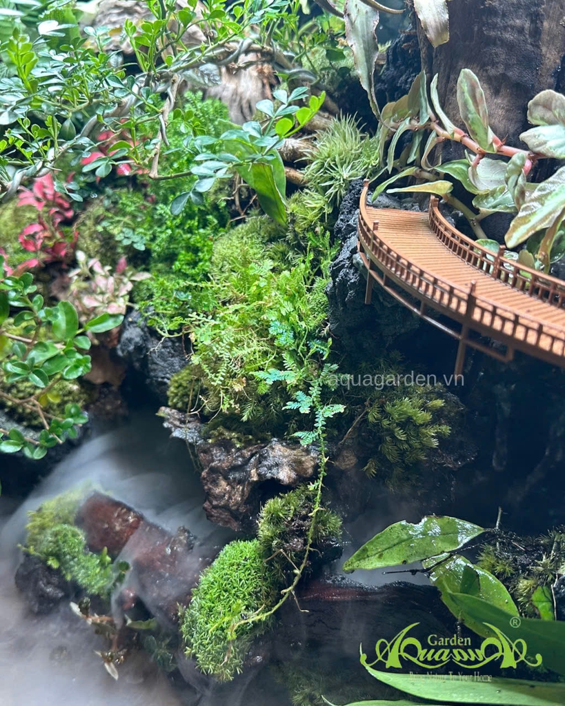 Hồ bán cạn - Thác Tịch Lưu Vân – thác nước rêu phong mây phủ độc bản