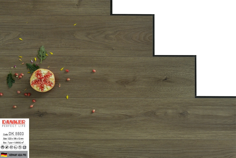 Sàn Gỗ Danker DK8503