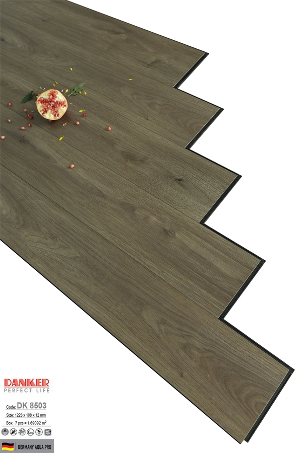 Sàn Gỗ Danker DK8503