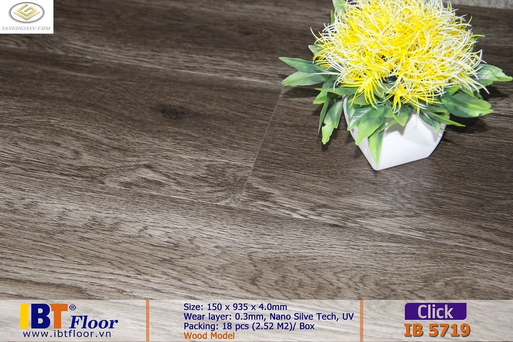 Sàn Nhựa Hèm Khóa IBT 5719