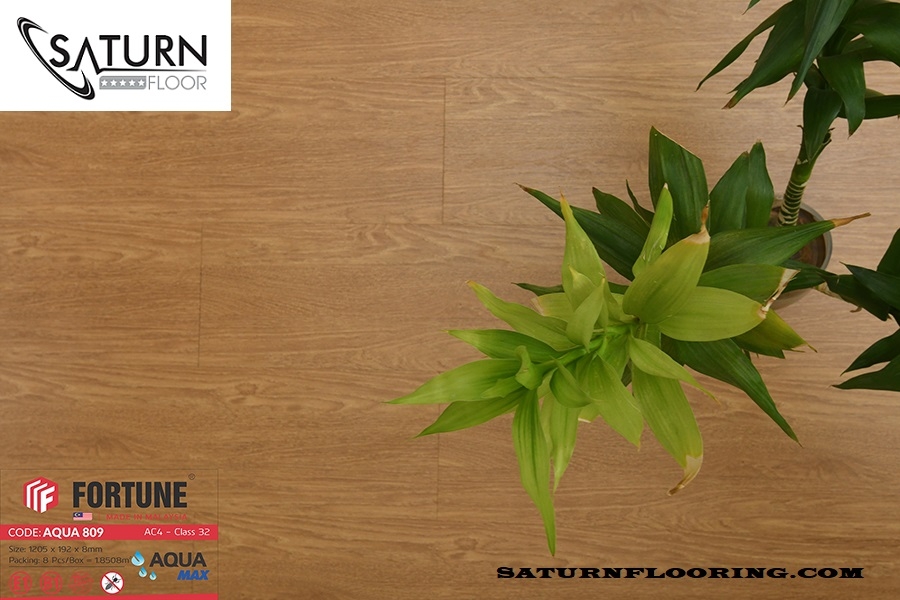 Sàn Gỗ Fortune 8mm Aqua 809