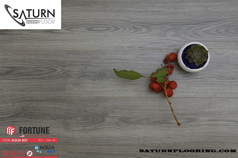 Sàn Gỗ Fortune 8mm Aqua 803