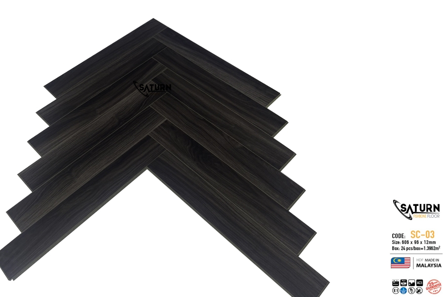 Saturn Fishbone SC03