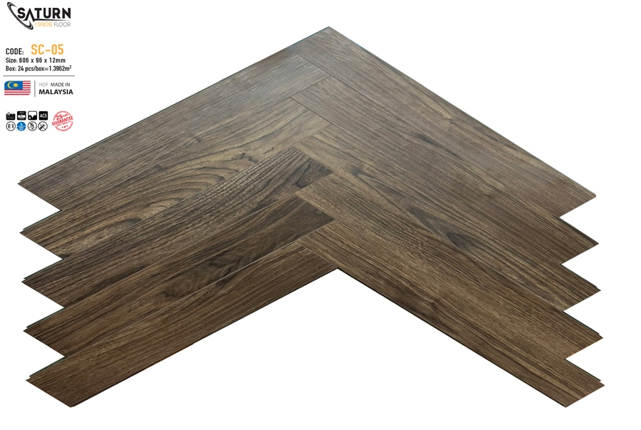 Saturn Fishbone SC05