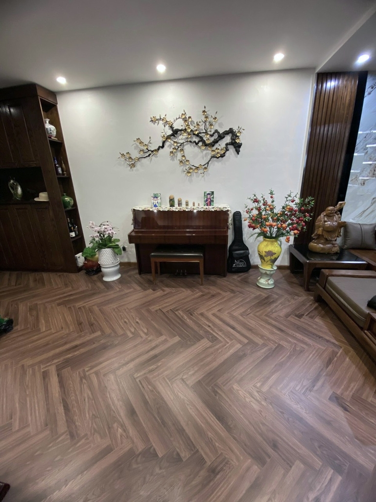 Saturn Fishbone SC09