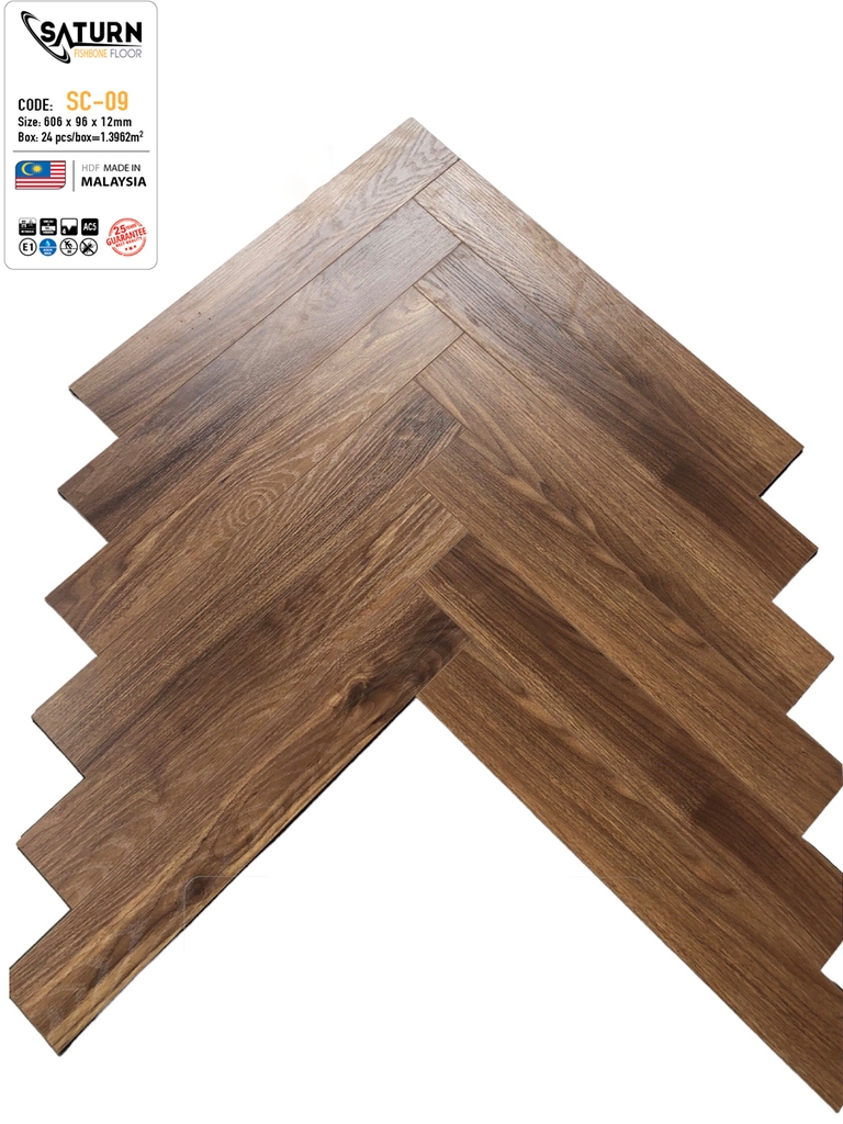 Saturn Fishbone SC09