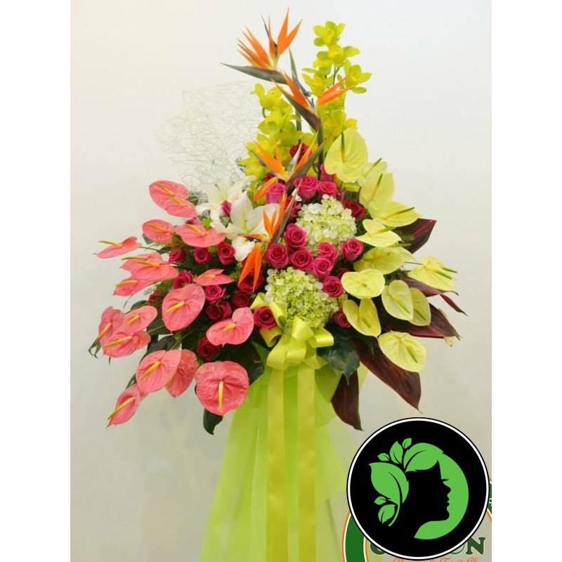 Hoa khai trương giá rẻ DHKT38
