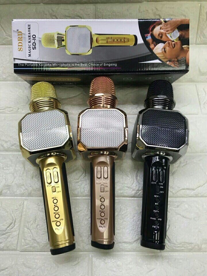 Kết quả hình ảnh cho Mic hát karaoke SD-10