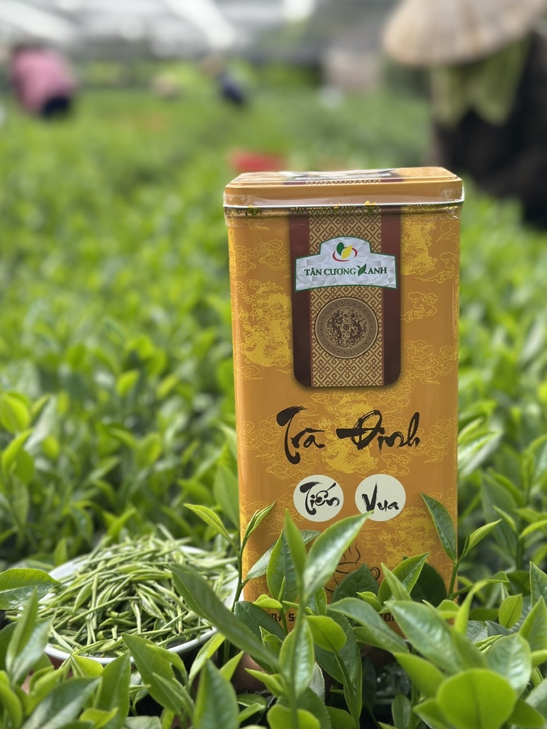 Trà Đinh Tân Cương Tiến Vua 500gram
