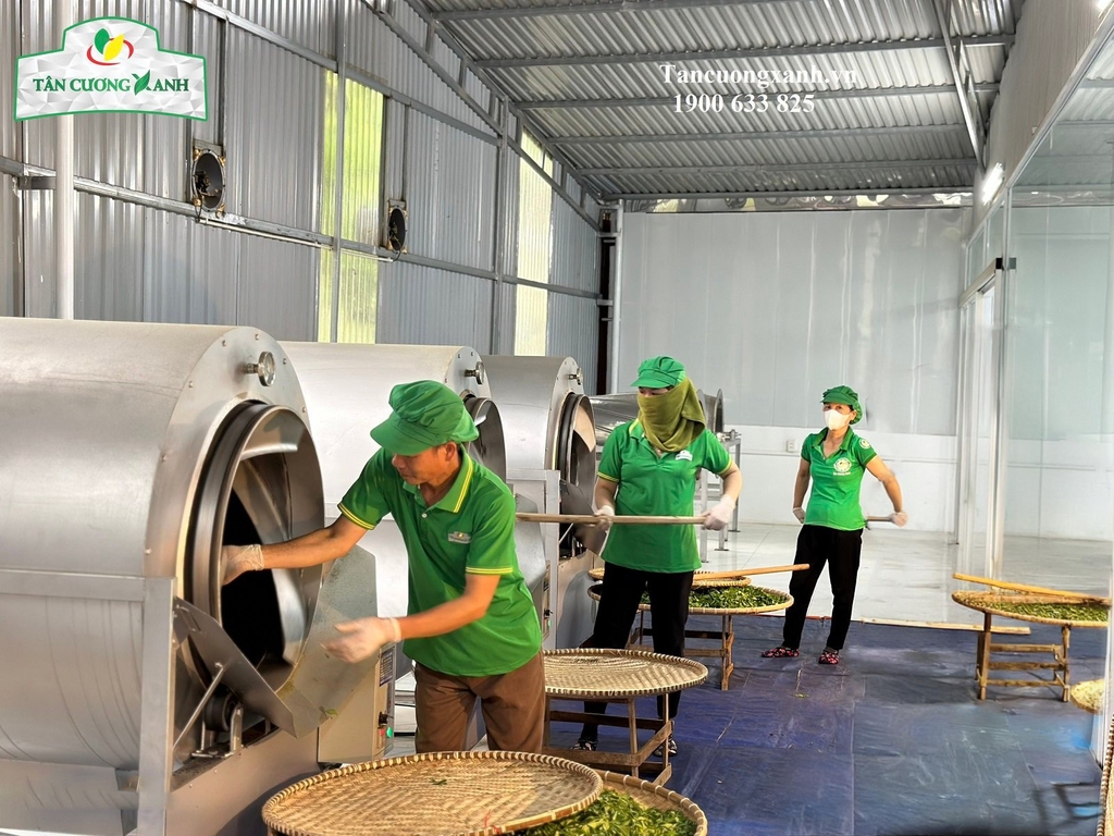 Trà Sen Ngọc Tỉnh Liên 200gram - Hộp Hứng Dừa