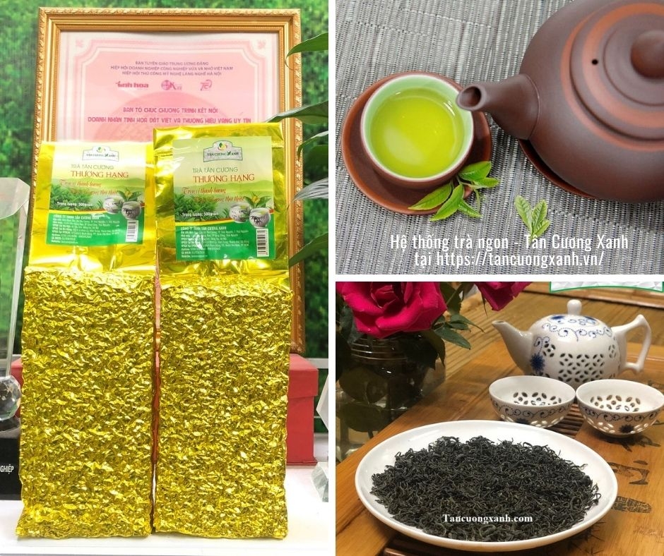 期間限定価格商品 Tân Cương Thượng Hạng TC1-500gram Tuyệt Phẩm Chè Thái Nguyên 茶
