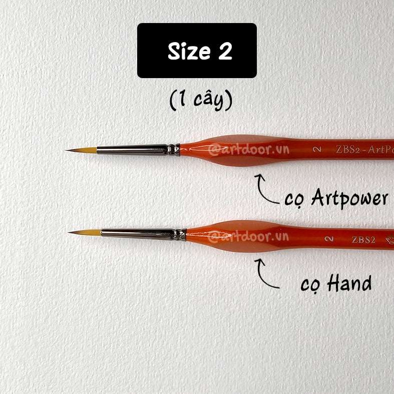 Cọ vẽ đầu tròn HAND (ZBS2), ARTPOWER (ZBS2) học vẽ trang trí màu nước, pentel poster, gouache