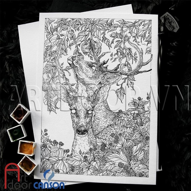 Giấy vẽ chì CANSON Truyền Thống mỏng 110gsm (vân ngang)