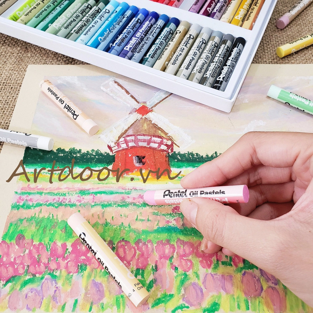 Bộ màu vẽ Sáp Dầu PENTEL Oil Pastel (hộp giấy)