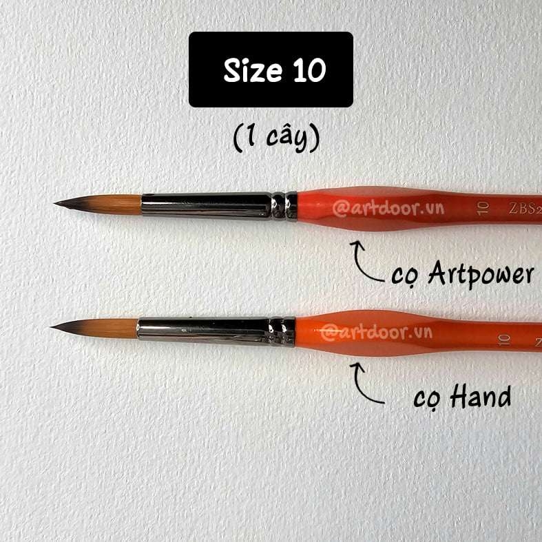 Cọ vẽ đầu tròn HAND (ZBS2), ARTPOWER (ZBS2) học vẽ trang trí màu nước, pentel poster, gouache