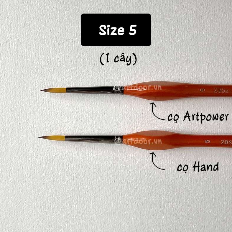 Cọ vẽ đầu tròn HAND (ZBS2), ARTPOWER (ZBS2) học vẽ trang trí màu nước, pentel poster, gouache
