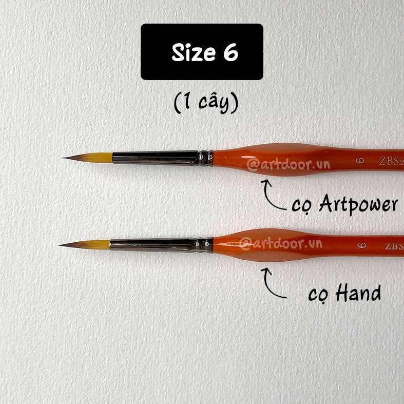 Cọ vẽ đầu tròn HAND (ZBS2), ARTPOWER (ZBS2) học vẽ trang trí màu nước, pentel poster, gouache