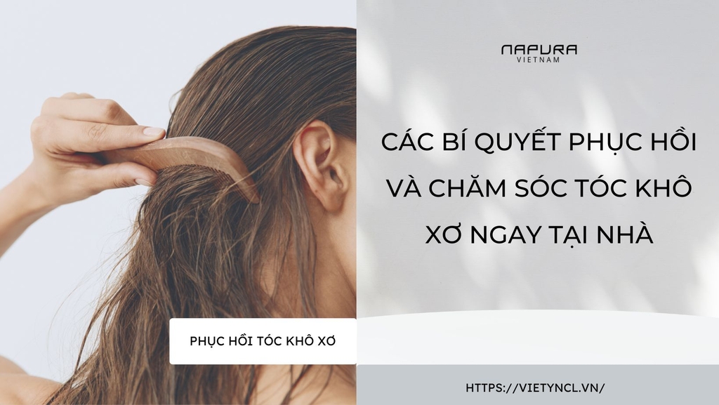 Các bí quyết phục hồi và chăm sóc tóc khô xơ ngay tại nhà