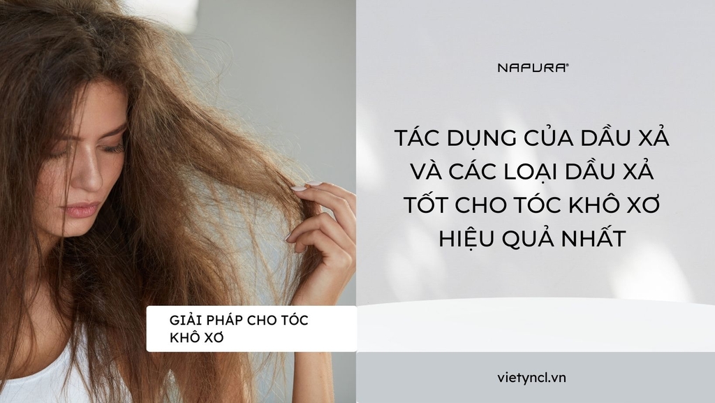 Tác dụng của dầu xả và các loại dầu xả tốt cho tóc khô xơ hiệu quả nhất