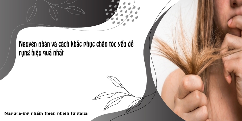 Nguyên nhân và cách khắc phục chân tóc yếu dễ rụng hiệu quả nhất