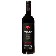 Rượu vang Vegadero Tinto Crianza 2010