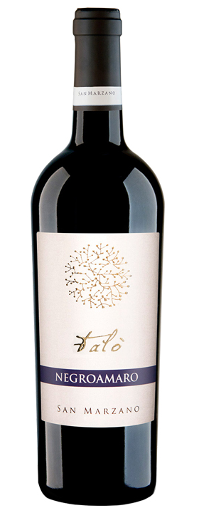 Falò - Negroamaro