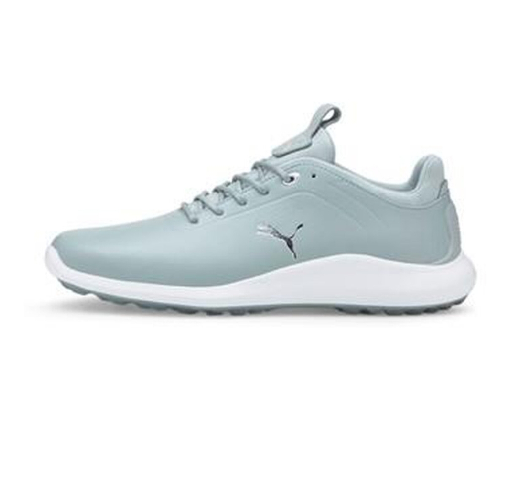 https://linkinggolf.com/puma-ignite-pro-19503102-s468