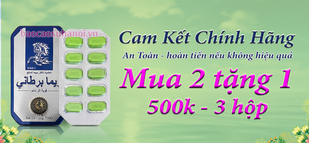 500k-3-hộp-ngựa-thái