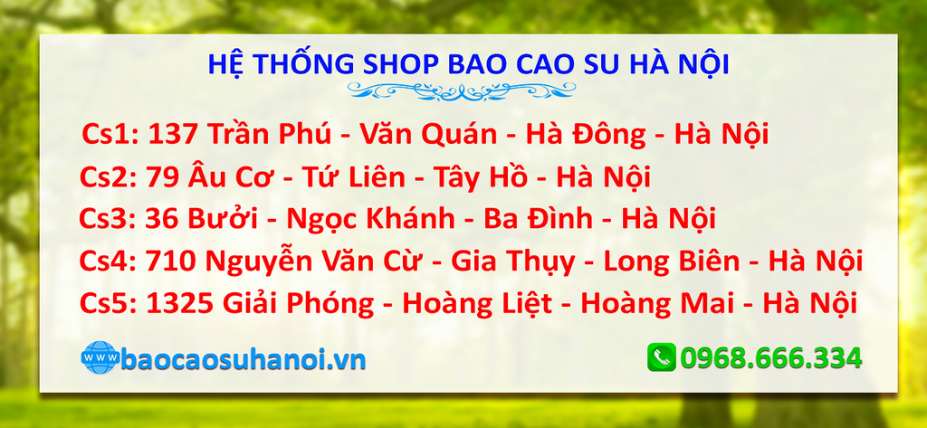 địa-chỉ-bán-ngựa-thái-chính-hãng-bắc-ninh