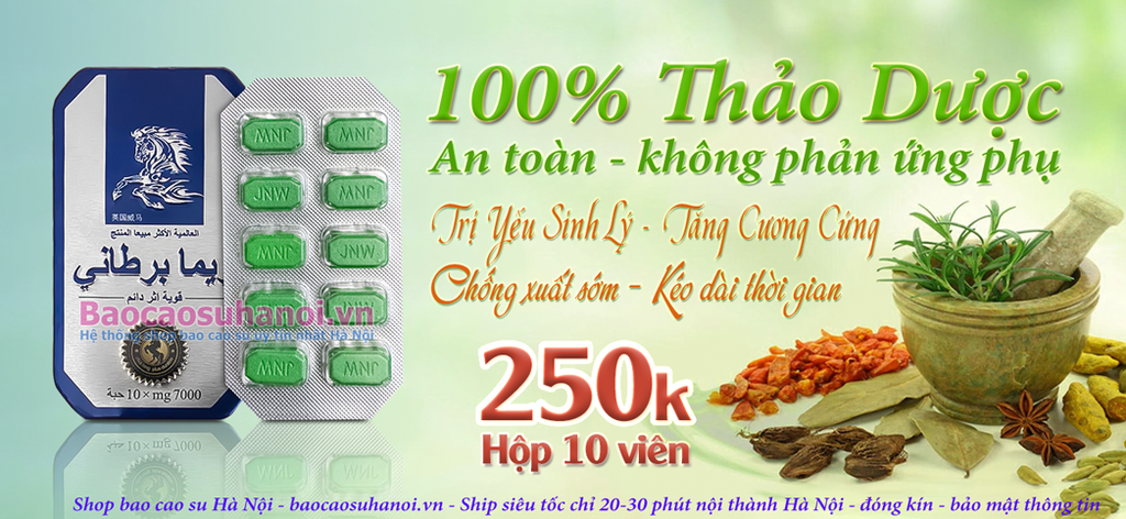 giá-bán-thuốc-ngựa-thái-ở-hà-đông