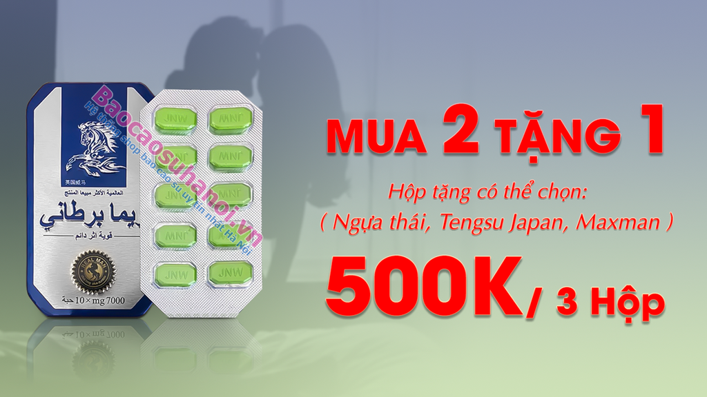 khuyến-mại-mua-2-tặng-1-ngựa-thái-tại-lào-cai