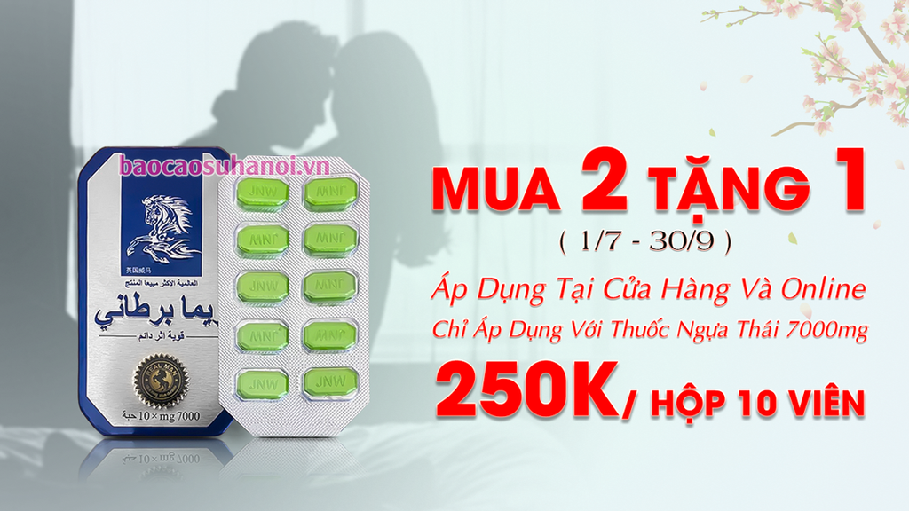 khuyến-mãi-mua-thuốc-cường-dương-ngựa-thái-chính-hãng-tốt-nhất