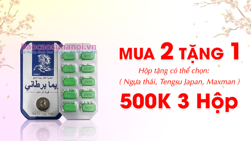 khuyến-mại-ngựa-thái-2025