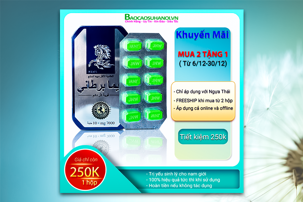 khuyến-mãi-ngựa-thái-mua-2-tặng-1-ở-thường-tín