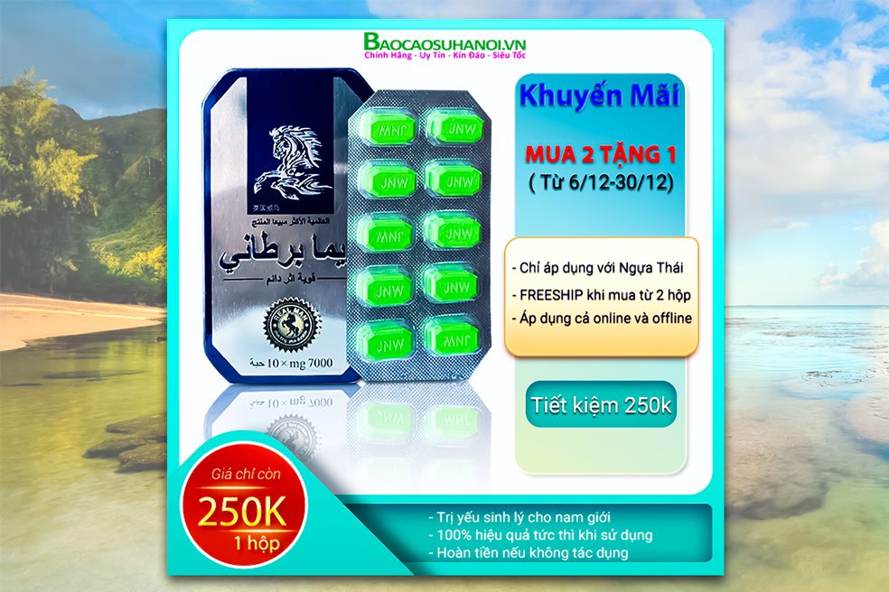khuyến-mãi-thuốc-ngựa-thái-mua-2-tặng-1-ở-gia-lâm