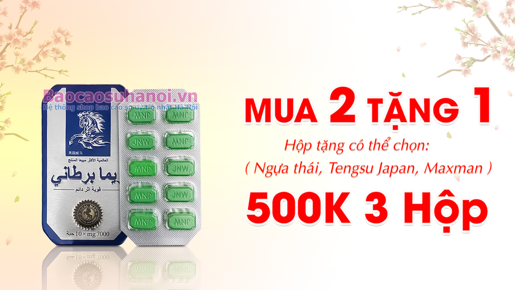 mua-2-tặng-1-ngựa-thái-2025