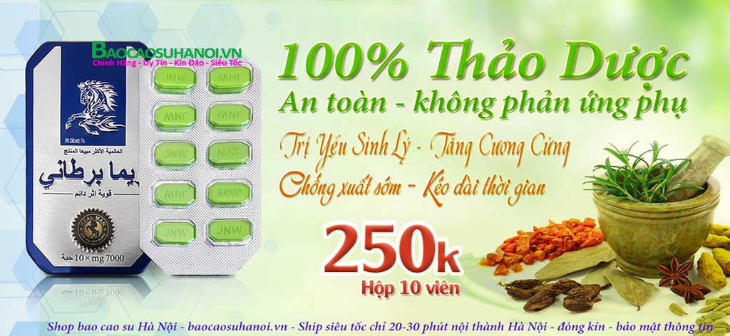 ngựa-thái-chính-hãng-khuyến-mãi-mua-2-tặng-1-tại-bắc-ninh