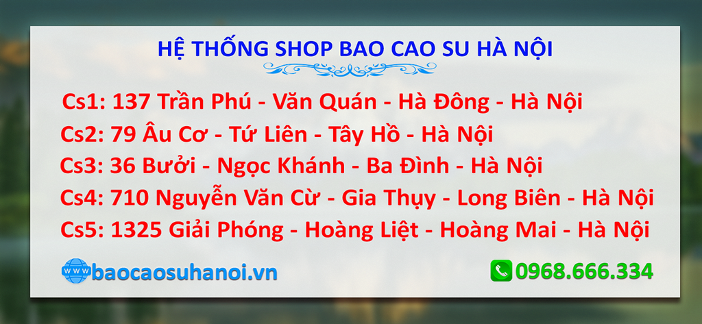 shop-bao-cao-su-ở-cầu-diễn