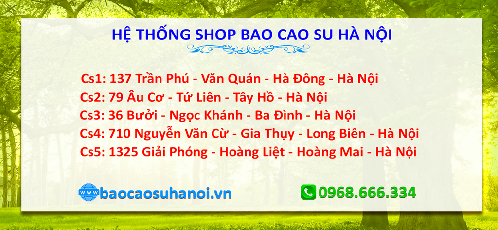 shop-bao-cao-su-ở-hoài-đức