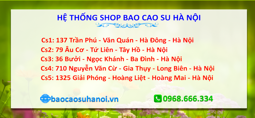 shop-bao-cao-su-uy-tín-ở-ba-vì